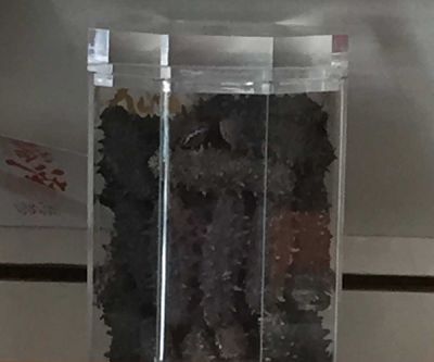 海参
